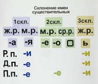 Набор магнитных карточек "Склонение имен существительных" - fgospostavki.ru - Каменск-Уральский