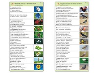 Комплект карточек (10) "Обучающий калейдоскоп. Природа" - fgospostavki.ru - Каменск-Уральский