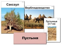 Модель-аппликация "Природные зоны России" (ламинированная) - fgospostavki.ru - Каменск-Уральский