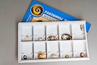 Коллекция "Раковины моллюсков" - fgospostavki.ru - Каменск-Уральский