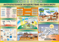 Таблица "Антропогенное воздействие на биосферу" (100х140 сантиметров, винил) - fgospostavki.ru - Каменск-Уральский