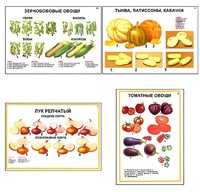 Плакаты ПРОФТЕХ "Ассортимент овощных культур" (12 пл, винил, 70х100) - fgospostavki.ru - Каменск-Уральский