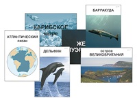 Модель-аппликация "Океаны. Знакомство" (ламинированная) - fgospostavki.ru - Каменск-Уральский