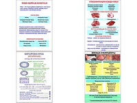 Плакаты ПРОФТЕХ "Классификации и виды мяса" (4 пл, винил, 70х100) - fgospostavki.ru - Каменск-Уральский