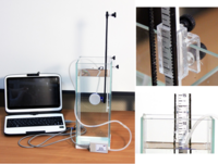 Набор демонстрационный «Гидростатика и плавание тел» - fgospostavki.ru - Каменск-Уральский