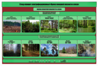 Стенд-планшет электрифицированный «Оценка пожарной опасности в лесах»  - fgospostavki.ru - Каменск-Уральский