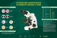 Электрифицированный стенд "Устройство микроскопа и правила работы c ним" - fgospostavki.ru - Каменск-Уральский