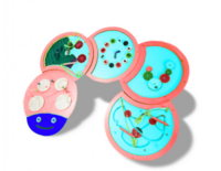 Тактильно-развивающая панель «Гусеница» - fgospostavki.ru - Каменск-Уральский