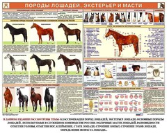 Комплект плакатов "Служебное коневодство" - fgospostavki.ru - Каменск-Уральский