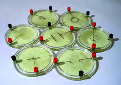 Демонстрационный комплект «Силовые линии электрического поля разных систем зарядов» - fgospostavki.ru - Каменск-Уральский