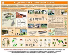 Комплект плакатов "Кинология" - fgospostavki.ru - Каменск-Уральский