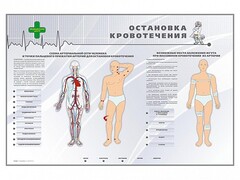 Электрифицированный стенд "Остановка кровотечения" - fgospostavki.ru - Каменск-Уральский