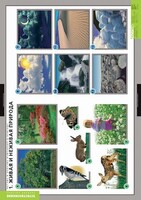 Комплект таблиц. Окружающий мир. Летние и осенние изменения в природе. - fgospostavki.ru - Каменск-Уральский