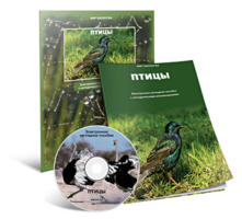 Электронное наглядное пособие «Птицы» - fgospostavki.ru - Каменск-Уральский
