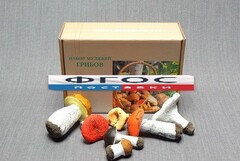 Набор муляжей грибов - fgospostavki.ru - Каменск-Уральский