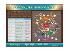 Интерактивный электрифицированный стенд "Эволюция животного мира" - fgospostavki.ru - Каменск-Уральский