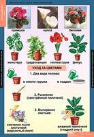 Комплект таблиц. Окружающий мир 1 класс. - fgospostavki.ru - Каменск-Уральский