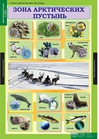 Комплект таблиц. Окружающий мир 4 класс. - fgospostavki.ru - Каменск-Уральский