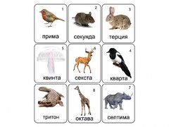 Набор магнитных карточек по музыке "Животные" (9 штук) - fgospostavki.ru - Каменск-Уральский