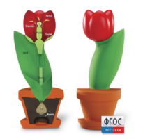 Модель цветка - fgospostavki.ru - Каменск-Уральский