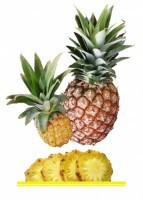 Комплект карточек "Запоминай, играй, считай" - Фрукты - fgospostavki.ru - Каменск-Уральский