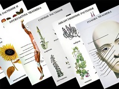 Таблицы по природоведению 1-3 класс (46 штук, формат А2) - fgospostavki.ru - Каменск-Уральский