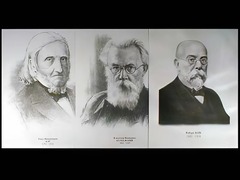 Портреты биологов (26 штук, формат А3) - fgospostavki.ru - Каменск-Уральский
