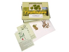 Гербарий "Для начальной школы" (30 видов, с иллюстрациями) - fgospostavki.ru - Каменск-Уральский