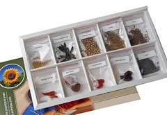 Коллекция "Плоды сельскохозяйственных растений" - fgospostavki.ru - Каменск-Уральский