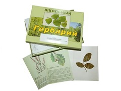 Гербарий "Дикорастущие растения" (30 видов, с иллюстрациями) - fgospostavki.ru - Каменск-Уральский
