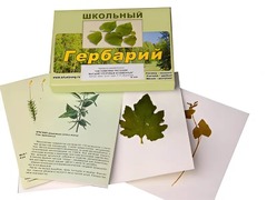 Гербарий "Систематика растений. Высшие споровые и семенные" (раздаточный) - fgospostavki.ru - Каменск-Уральский
