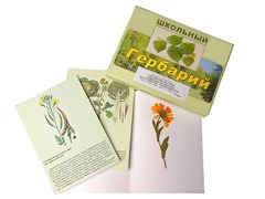 Гербарий "Систематика растений. Семейство Пасленовые. Крестоцветные. Сложноцветные" (раздаточный) - fgospostavki.ru - Каменск-Уральский