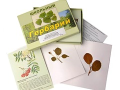 Гербарий "Систематика растений. Семейство Розоцветные" (раздаточный) - fgospostavki.ru - Каменск-Уральский