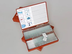 Комплект микропрепаратов "Ботаника 1" - fgospostavki.ru - Каменск-Уральский