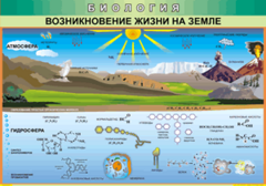 Таблица "Возникновение жизни на земле" (100х140 сантиметров, винил) - fgospostavki.ru - Каменск-Уральский