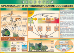 Таблица "Организация и функционирование сообществ" (100х140 сантиметров, винил) - fgospostavki.ru - Каменск-Уральский