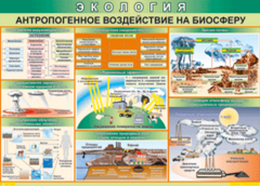 Таблица "Антропогенное воздействие на биосферу" (100х140 сантиметров, винил) - fgospostavki.ru - Каменск-Уральский