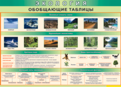 Таблица "Экология. Обобщающие таблицы" (100х140 сантиметров, винил) - fgospostavki.ru - Каменск-Уральский