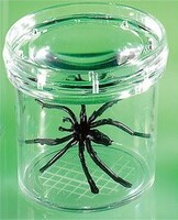 Баночка для изучения насекомых GeoSafari - fgospostavki.ru - Каменск-Уральский