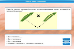 Интерактивные курсы. Биология 11 класс. Базовый. - fgospostavki.ru - Каменск-Уральский
