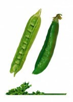 Комплект карточек "Запоминай, играй, считай" -  Овощи - fgospostavki.ru - Каменск-Уральский