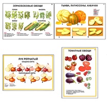Плакаты ПРОФТЕХ "Ассортимент овощных культур" (12 пл, винил, 70х100) - fgospostavki.ru - Каменск-Уральский