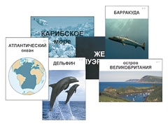 Модель-аппликация "Океаны. Знакомство" (ламинированная) - fgospostavki.ru - Каменск-Уральский