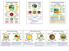 Плакаты ПРОФТЕХ "Плоды" (6 пл, винил, 70х100) - fgospostavki.ru - Каменск-Уральский