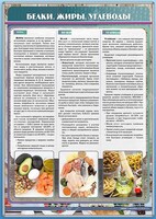 Стенд "Белки. Жиры. Углеводы" - fgospostavki.ru - Каменск-Уральский
