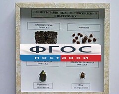 Коллекция энтомологическая "Примеры защитных приспособлений у насекомых" - fgospostavki.ru - Каменск-Уральский