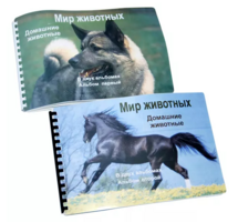 Пособие для слабовидящих - Домашние животные - fgospostavki.ru - Каменск-Уральский