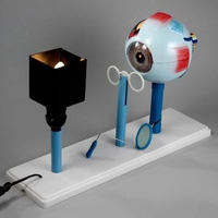 Модель "Зрение" (электрическая) - fgospostavki.ru - Каменск-Уральский