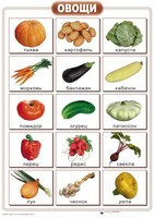 Таблицы "Окружающий мир" (формат А2, ламинированные, 10 таблиц) - fgospostavki.ru - Каменск-Уральский