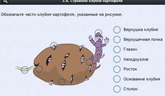 Интерактивные курсы. Биология 6 класс. Расширенный - fgospostavki.ru - Каменск-Уральский